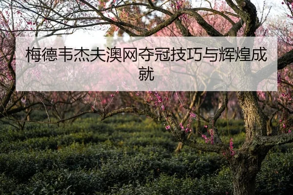 梅德韦杰夫澳网夺冠技巧与辉煌成就